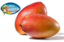 puro gusto eetrijpe mango