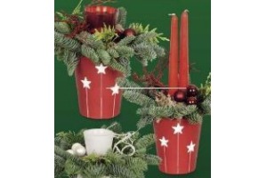 kerstplant