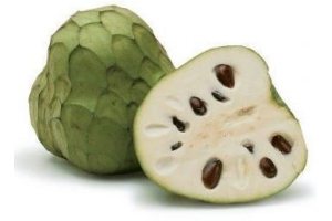 cherimoya