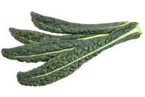 cavolo nero