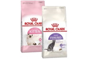 royal canin feline health nutrition