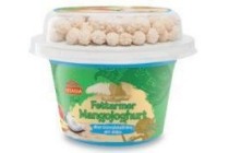 mango yoghurt