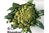 bloemkool romanesco