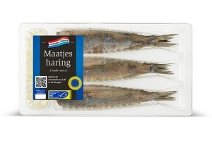 maatjesharing