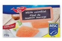 wilde zalmfilet