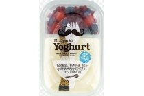 mr spork s yoghurt