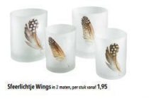 sfeerlichtje wings