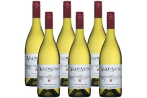 valdivieso sauvignon blanc