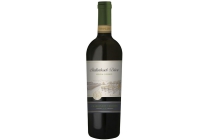 stellenbosch drive special chardonnay viognier