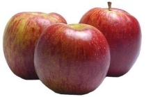 fuji appelen