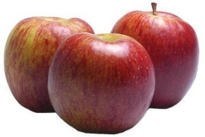 fuji appelen