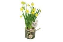 narcis in glazen pot