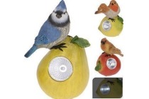 vogel en fruit solar
