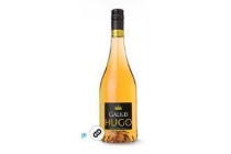 galilei hugo orange
