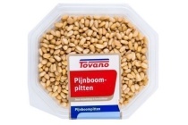 tovano pijnboompitten