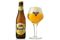 bush bier
