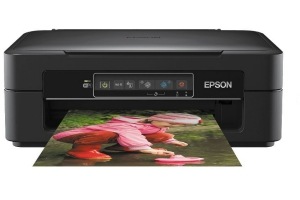 epson expression home xp 245