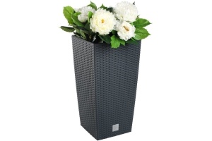 hornugle bloempot
