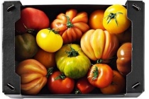tomatenmix groot