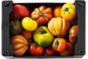 tomatenmix groot