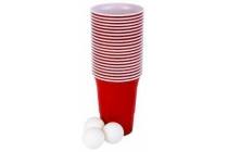 beerpong set