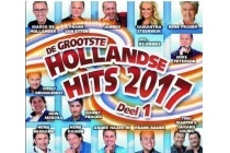 grootste hollandse hits 2017