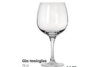 gin tonicglas