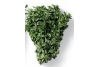 verse oregano