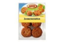 zonne medaillon