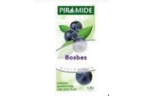 piramide fruitthee bosbes