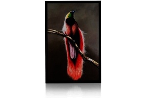 schilderij bird of paradise