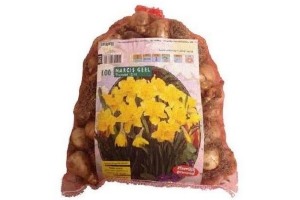 narcisbollen