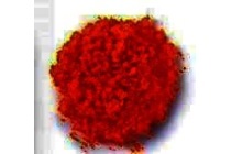 masago