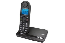 dect big button