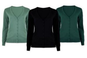 vest met v hals