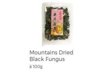 mountains dried black fungus
