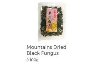 mountains dried black fungus