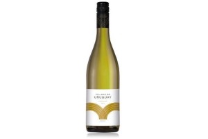 colinas de uruguay tannat