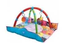 taf toys newborn gym