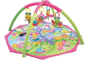 bugs n bloom activity gym