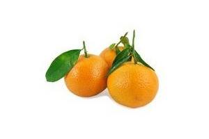mandarijnen met blad
