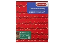 led clusterverlichting 1000 lampjes