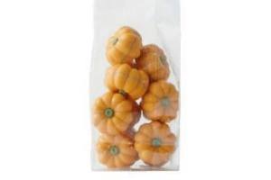 herfstchocolade pompoen