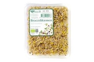 broccoli kiemen