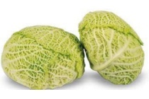 savooie kool