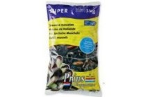 prins en dingemanse supermosselen msc