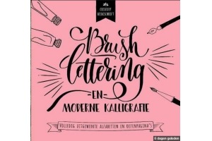 boek brush lettering en moderne kalligrafie