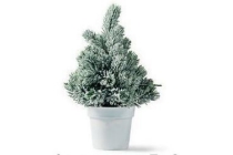 kerstboom in pot groen wit