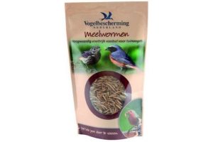 wildbird meelwormen meelwormen