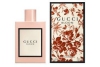 gucci bloom